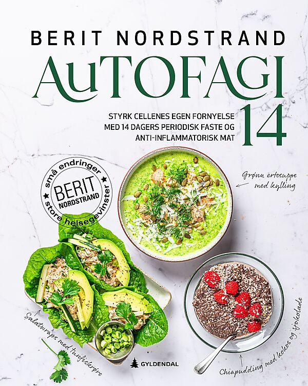 Book cover of Autofagi 14